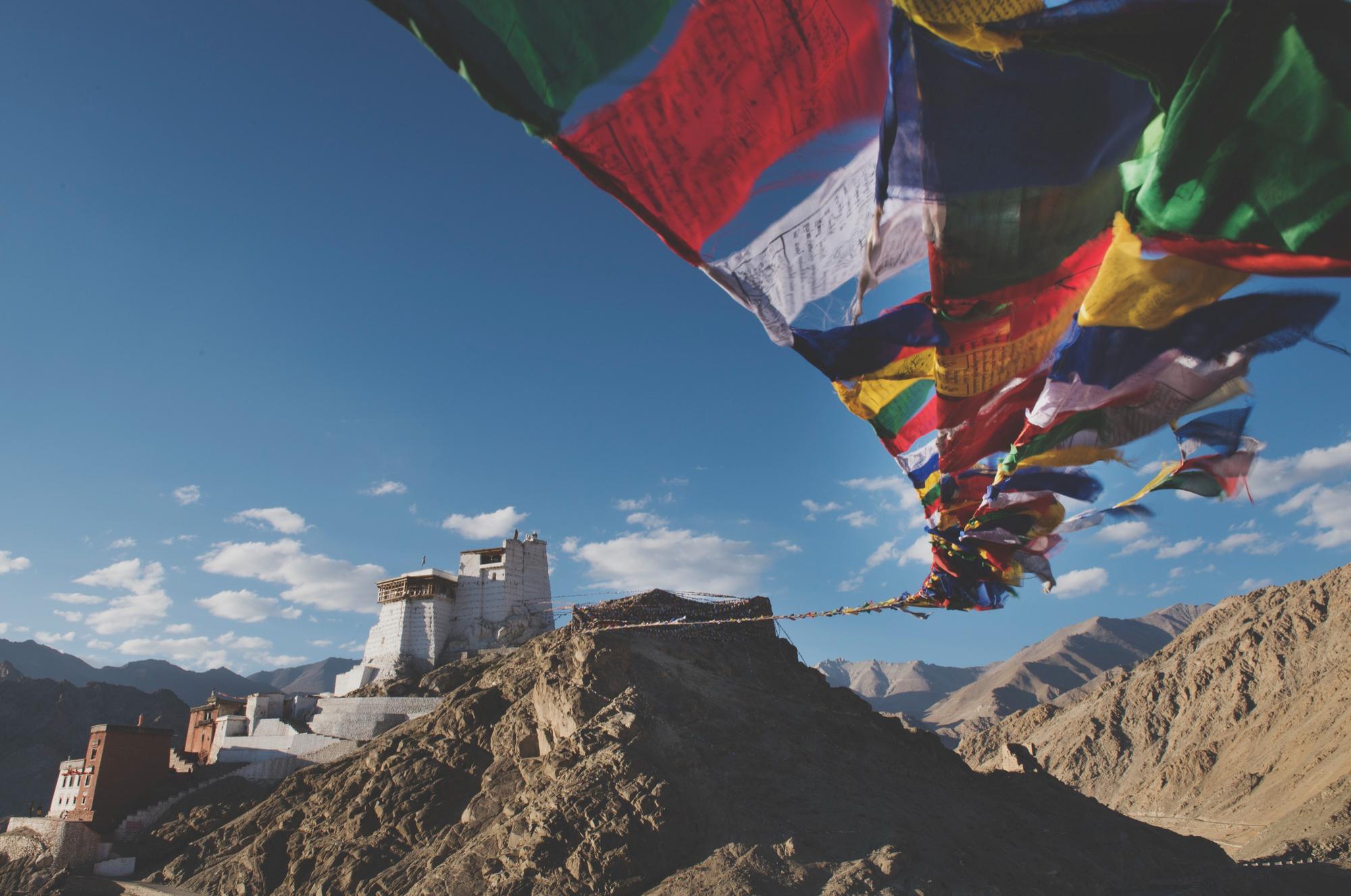 Buddhist Studies & Pali