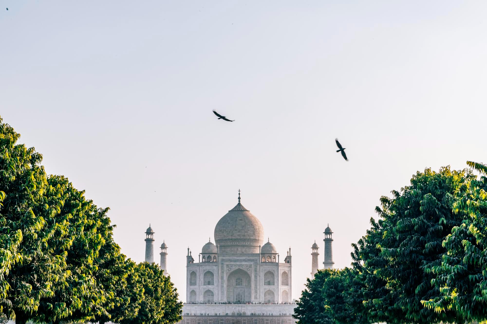Ancient Indian History, Culture & Archaeology